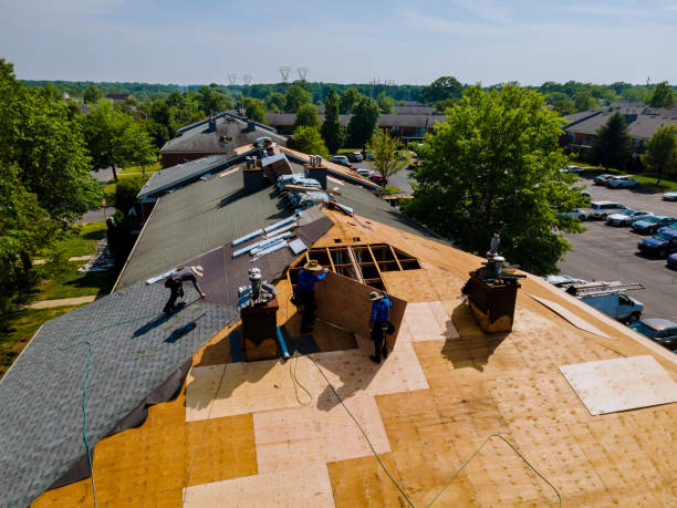 Quick and Trustworthy Emergency Roof Repair Services in Riverview, SC