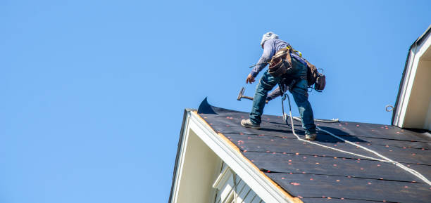 Best Roof Gutter Cleaning  in Riverview, SC